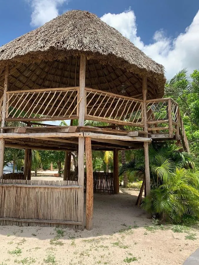 Ofrenda Tulum contacts